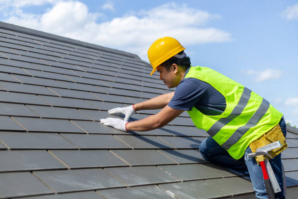 Best Shingle Roofing Installation  in Lake Panasoffkee, FL