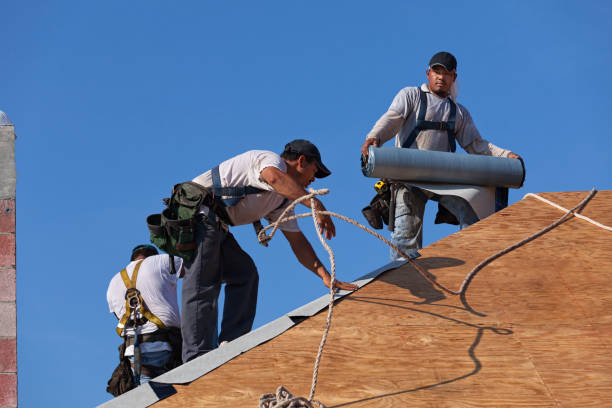 Best New Roof Installation  in Lake Panasoffkee, FL
