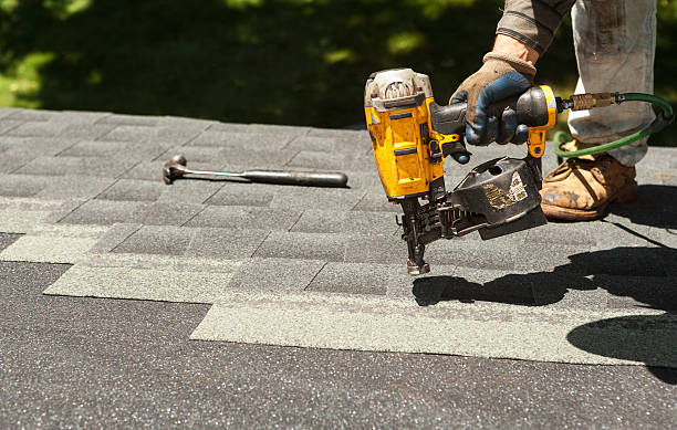 Best Flat Roof Repair Services  in Lake Panasoffkee, FL