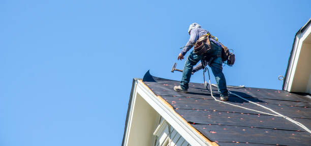 Best Commercial Roofing Services  in Lake Panasoffkee, FL